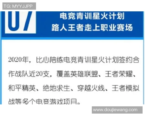 王者荣耀赛事分析：深入探讨FPX战队的游戏节奏与策略调整